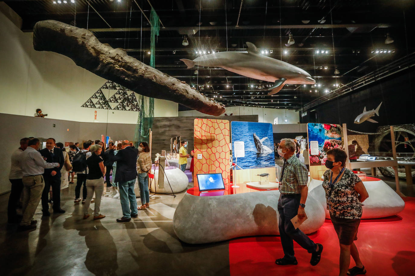 Una espectacular exposición muestra cómo la ciencia, la ingeniería o la arquitectura copian la naturaleza para lograr avances para el ser humano