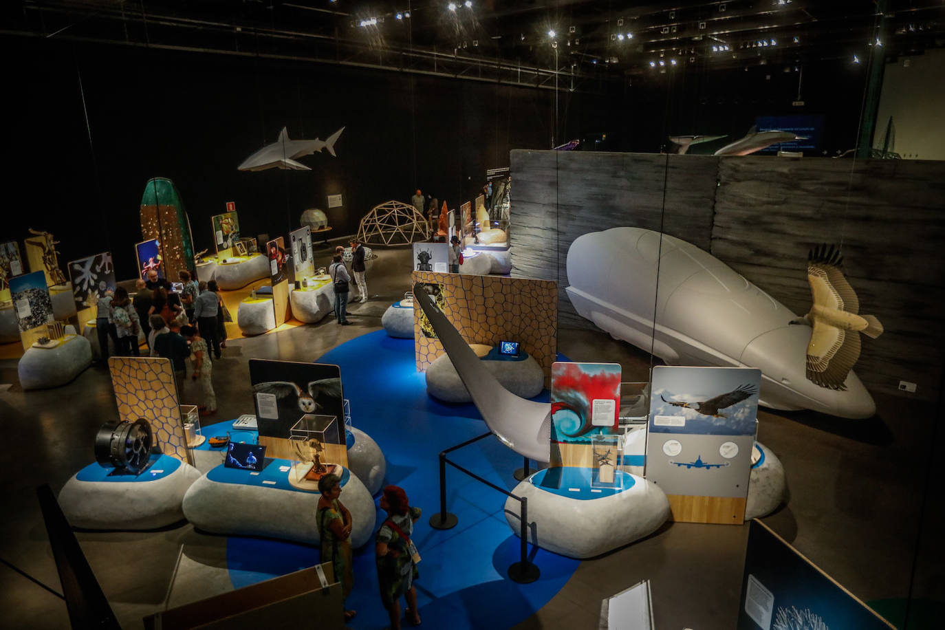 Una espectacular exposición muestra cómo la ciencia, la ingeniería o la arquitectura copian la naturaleza para lograr avances para el ser humano