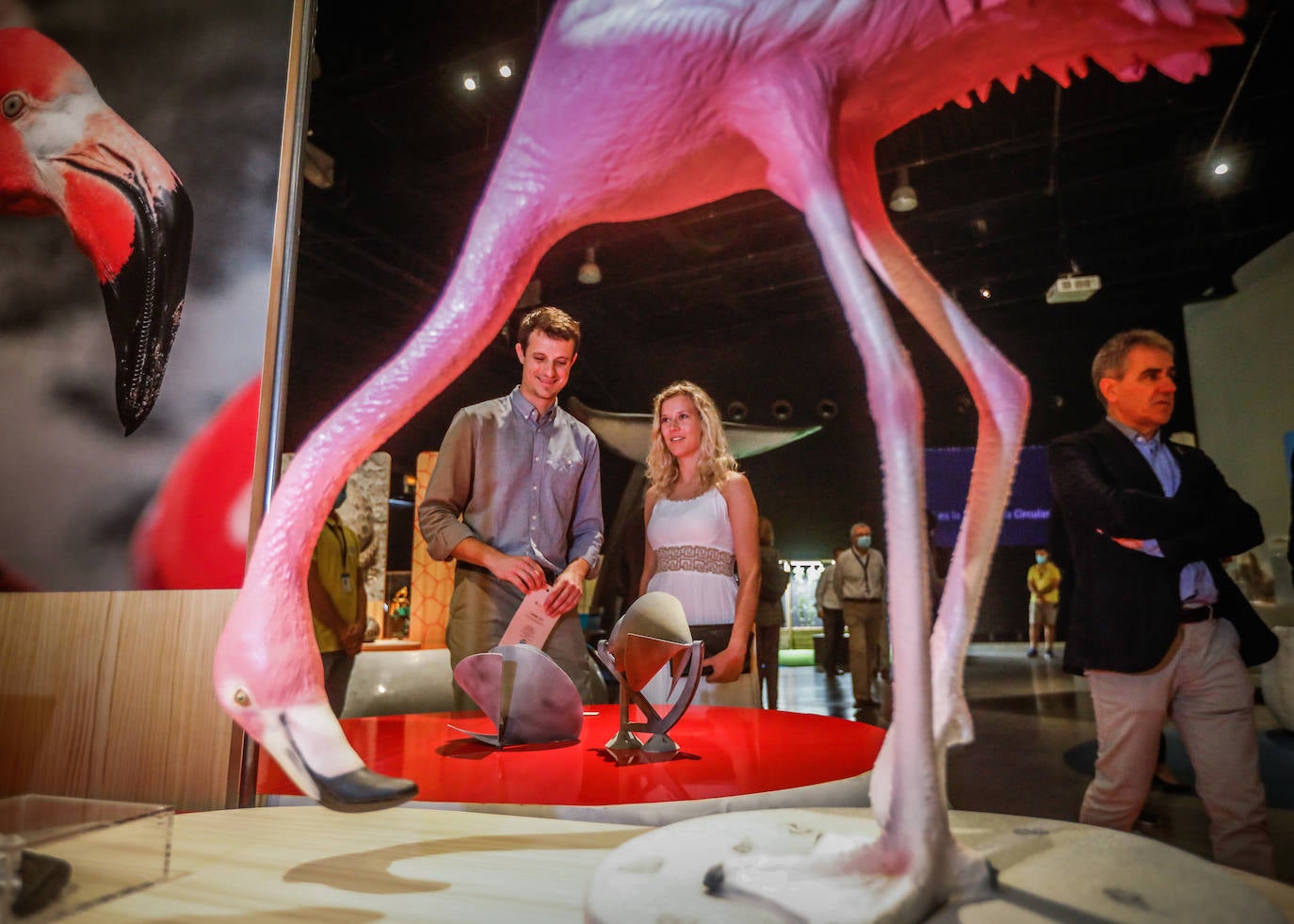 Una espectacular exposición muestra cómo la ciencia, la ingeniería o la arquitectura copian la naturaleza para lograr avances para el ser humano