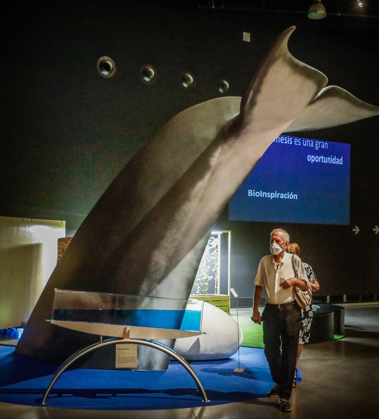 Una espectacular exposición muestra cómo la ciencia, la ingeniería o la arquitectura copian la naturaleza para lograr avances para el ser humano
