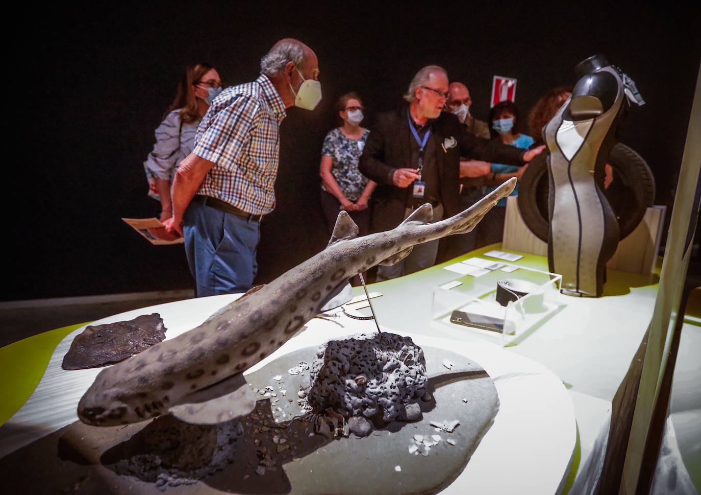 Una espectacular exposición muestra cómo la ciencia, la ingeniería o la arquitectura copian la naturaleza para lograr avances para el ser humano