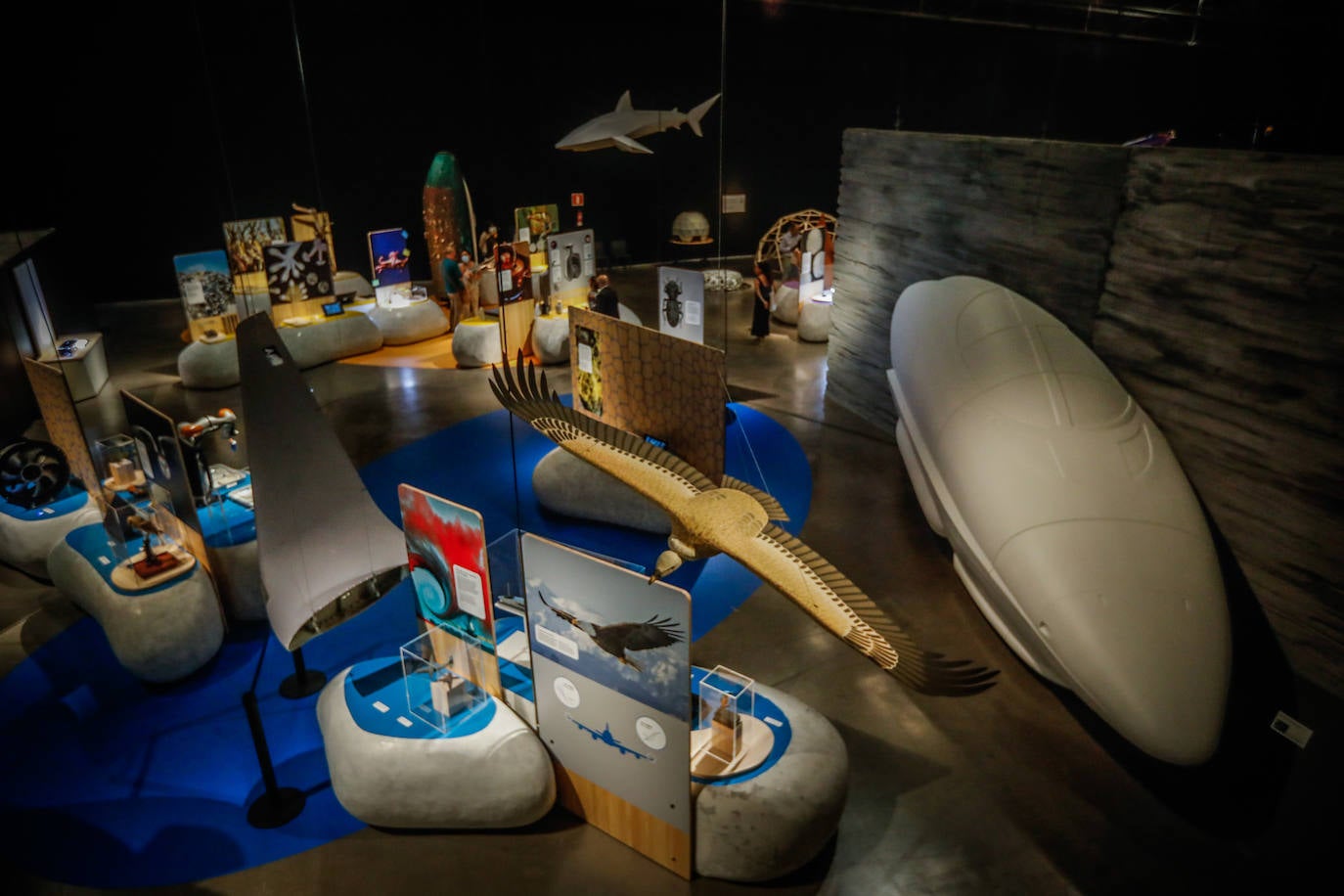 Una espectacular exposición muestra cómo la ciencia, la ingeniería o la arquitectura copian la naturaleza para lograr avances para el ser humano