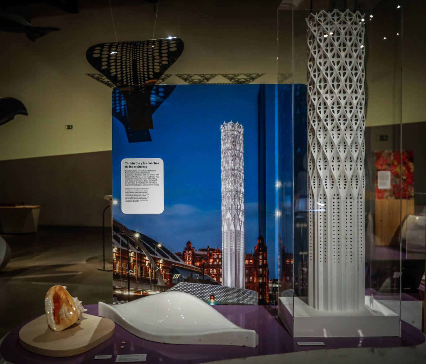 Una espectacular exposición muestra cómo la ciencia, la ingeniería o la arquitectura copian la naturaleza para lograr avances para el ser humano