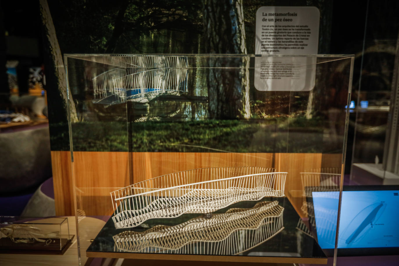 Una espectacular exposición muestra cómo la ciencia, la ingeniería o la arquitectura copian la naturaleza para lograr avances para el ser humano