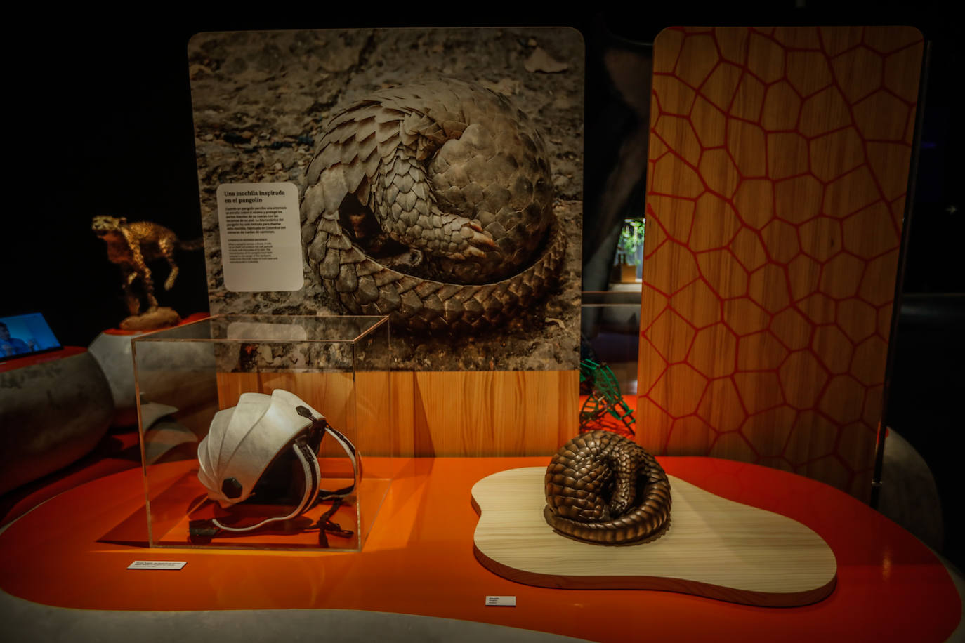 Una espectacular exposición muestra cómo la ciencia, la ingeniería o la arquitectura copian la naturaleza para lograr avances para el ser humano