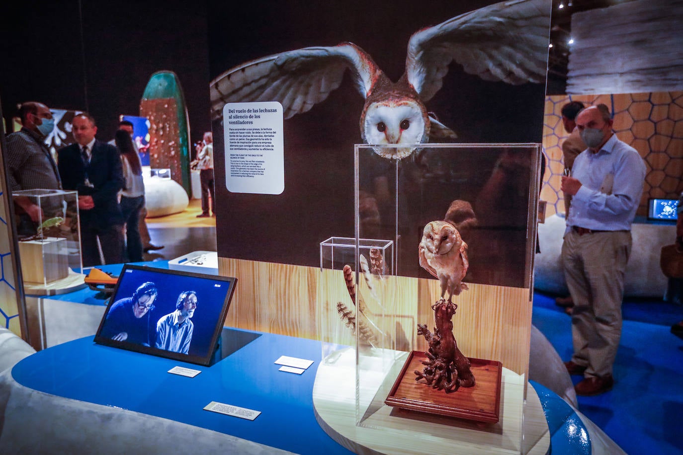 Una espectacular exposición muestra cómo la ciencia, la ingeniería o la arquitectura copian la naturaleza para lograr avances para el ser humano