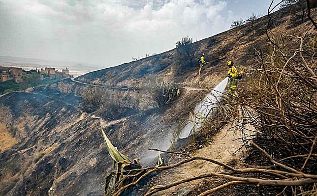 Incendio en San Miguel junto a los bomberos del Infoca. 