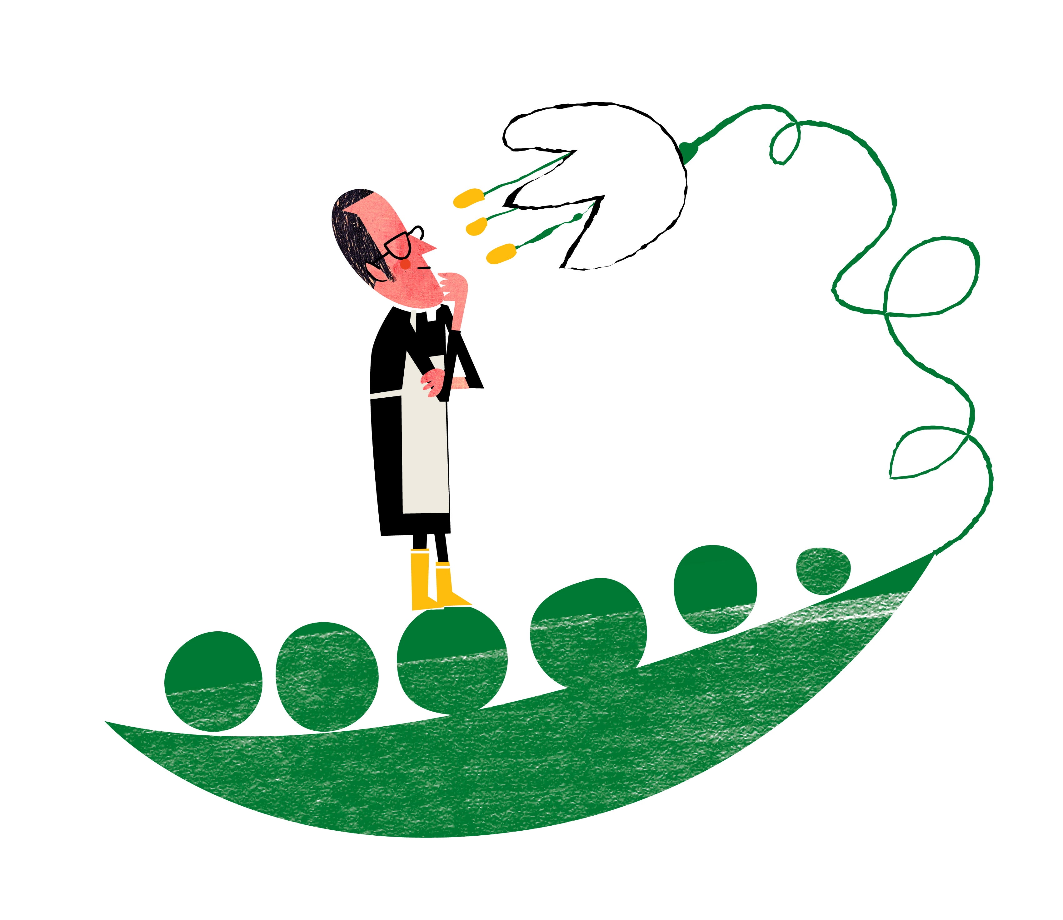 El transcendental legado de Mendel y su constante presencia en nuestras vidas