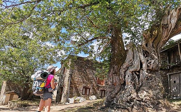 Cultura en Almería | Literatura | Un viaje por la ruta menos conocida y frecuentada para peregrinar hasta Santiago