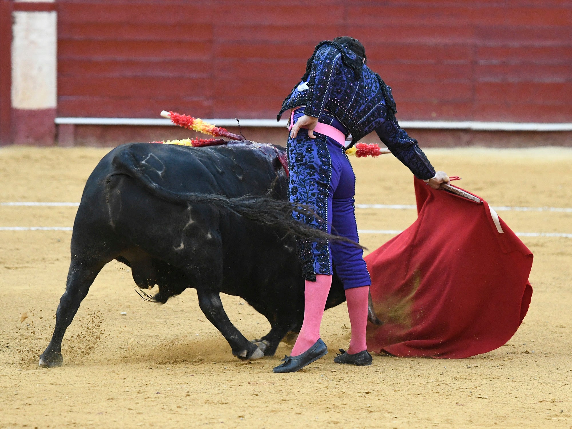 Momento del festejo celebrado este sábado en la plaza almeriense.