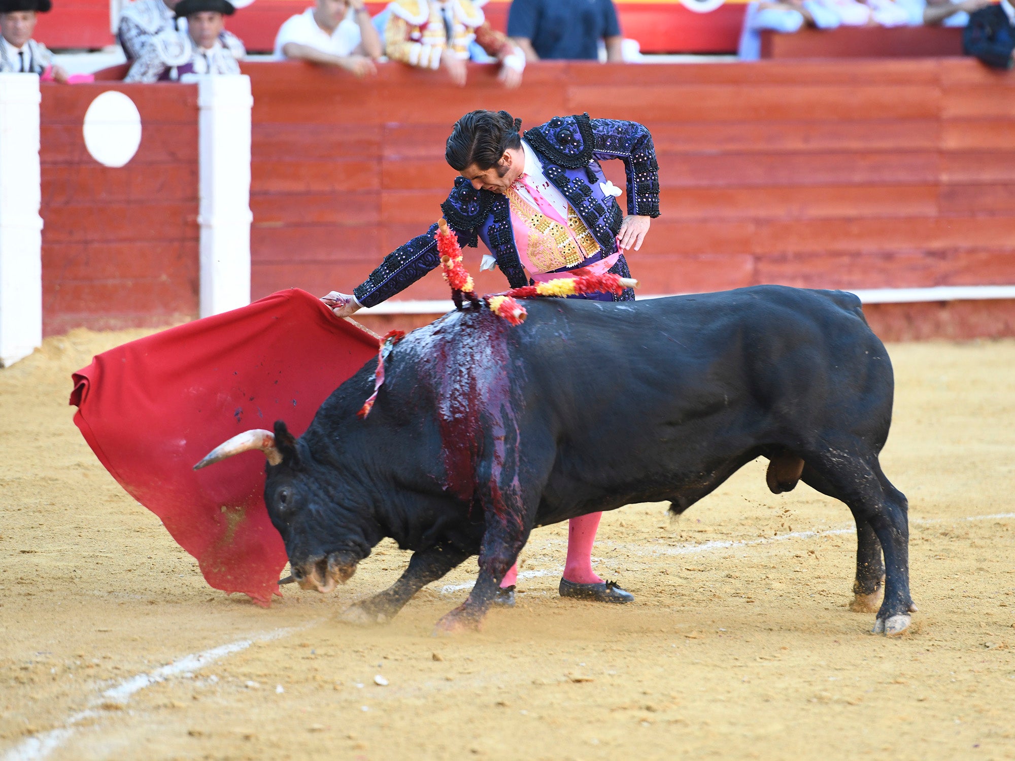 Momento del festejo celebrado este sábado en la plaza almeriense.