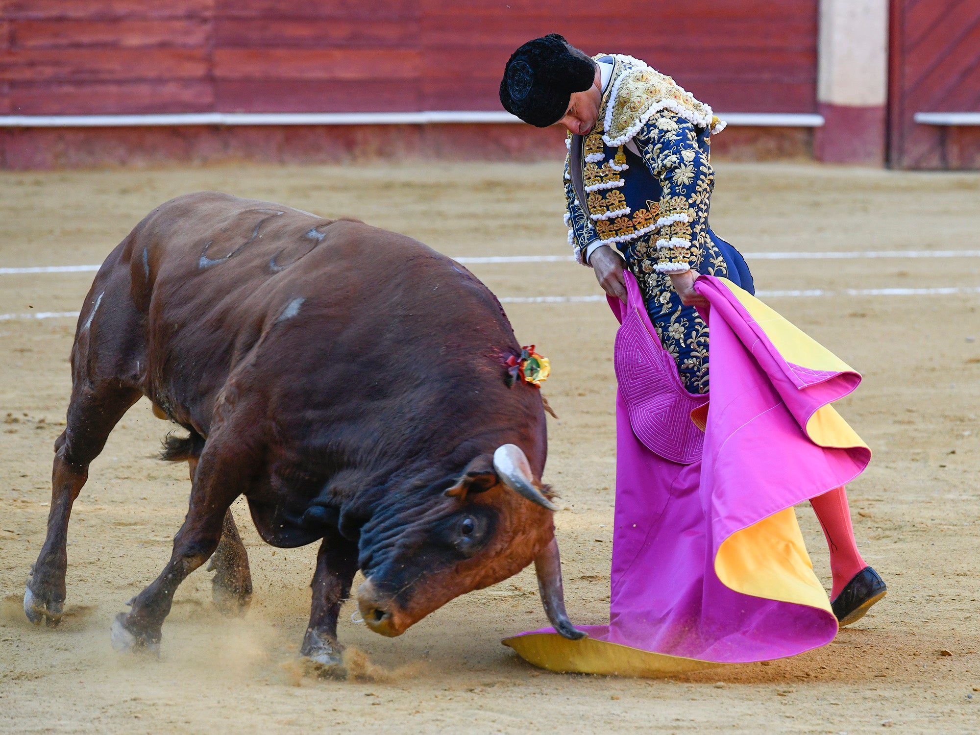 Momento del festejo celebrado este sábado en la plaza almeriense.