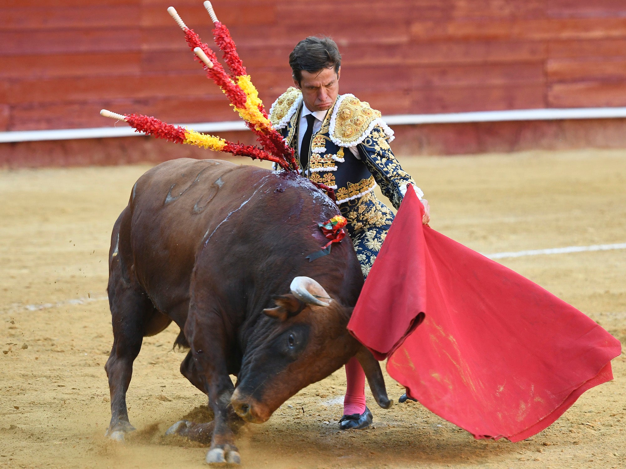Momento del festejo celebrado este sábado en la plaza almeriense.