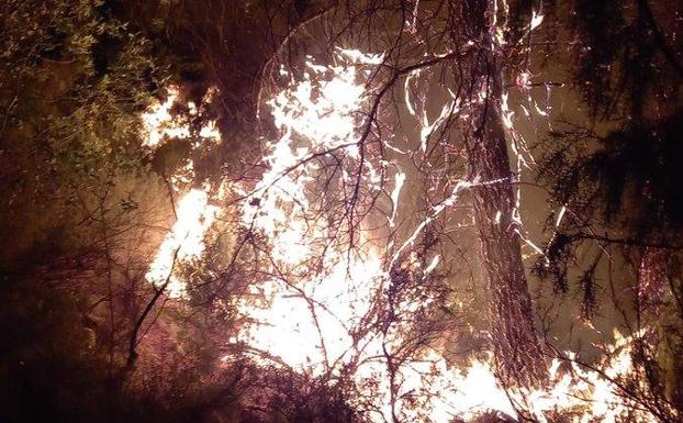 Imagen de la cabeza del incendio en 'La Hortichuela'