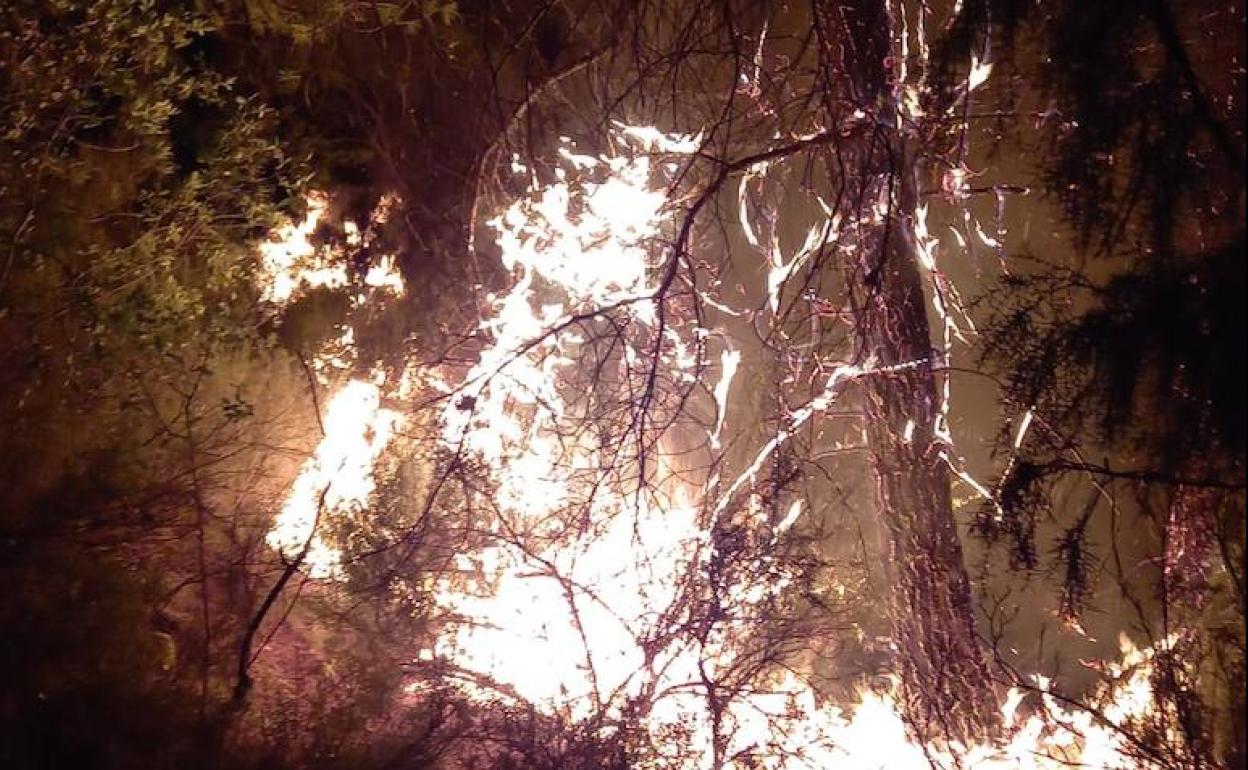 Imagen del incendio.