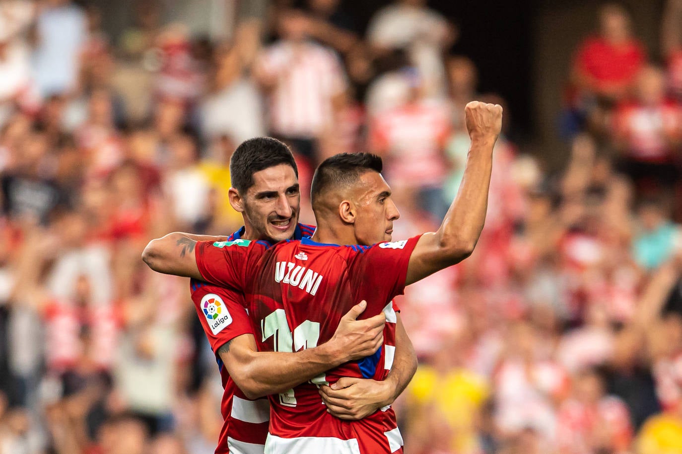 Repasa en fotos los mejores momentos del partido disputado este lunes en Los Cármenes