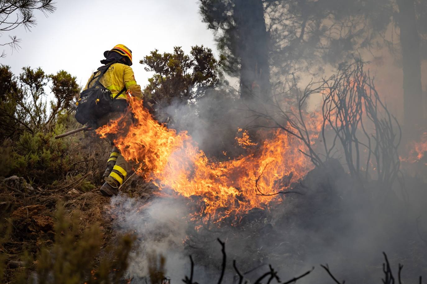 Operarios del Infoca trabajando contra el incendio.