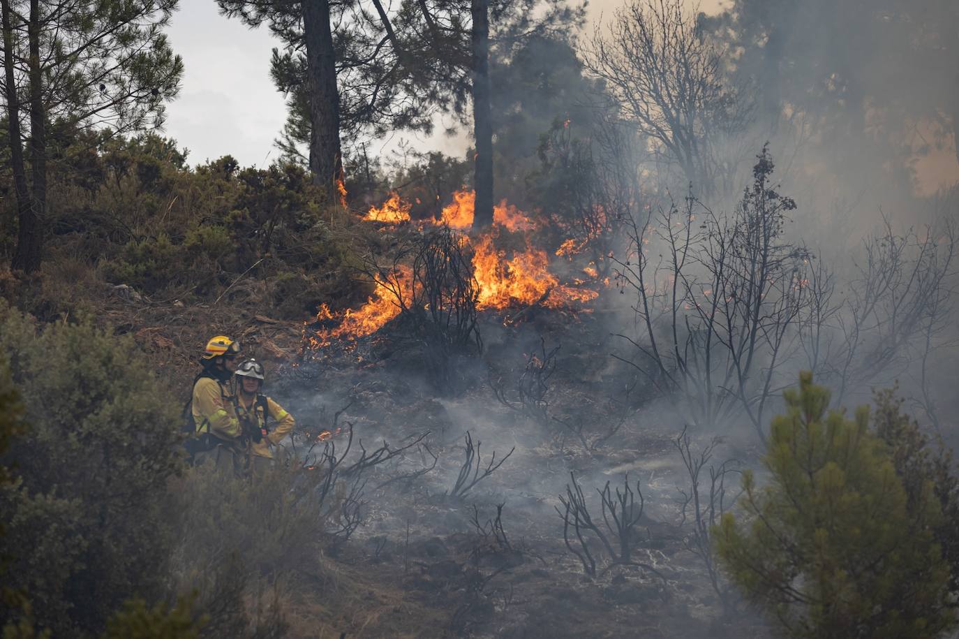 Operarios del Infoca trabajando contra el incendio.