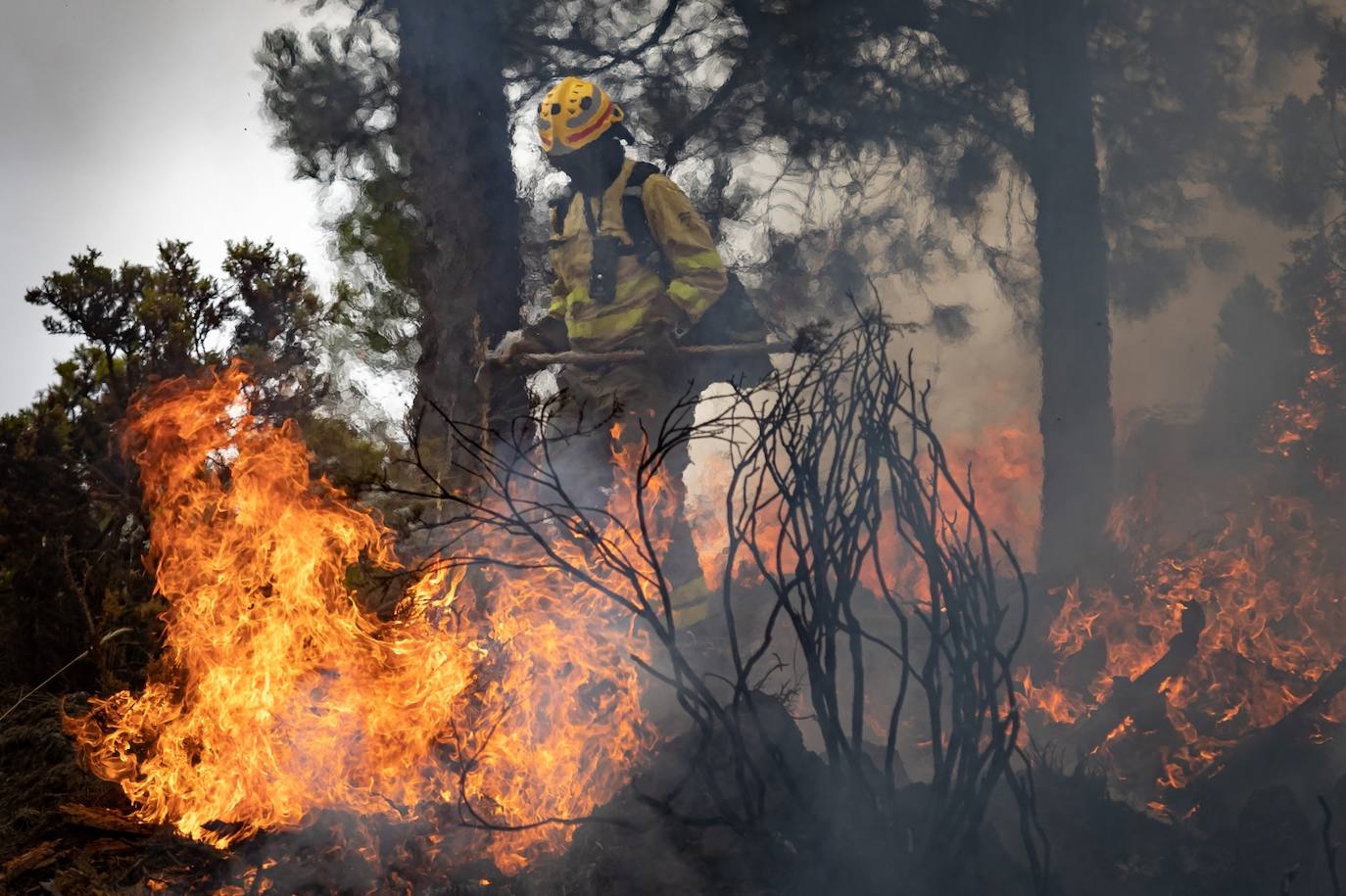 Operarios del Infoca trabajando contra el incendio.