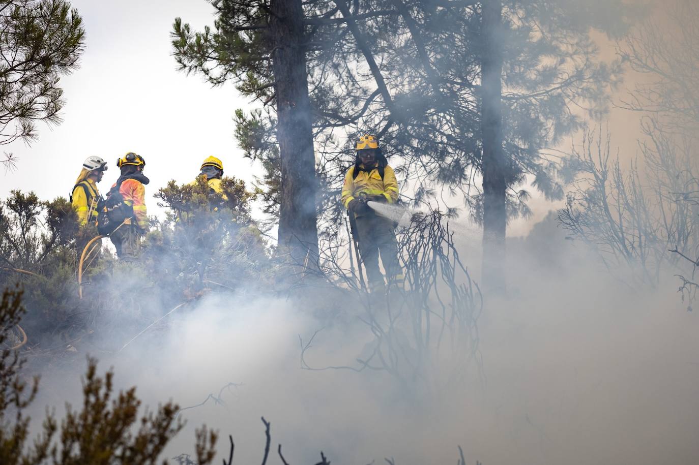 Operarios del Infoca trabajando contra el incendio.