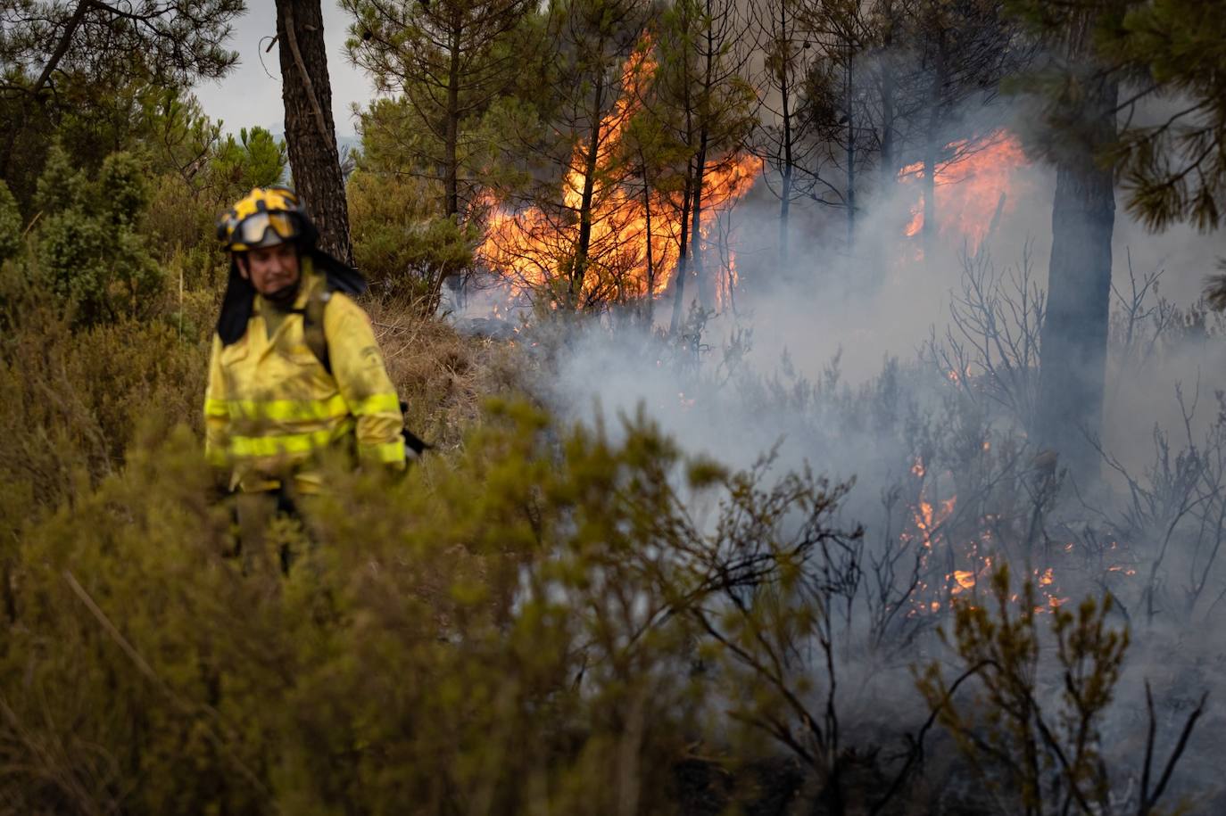 Operarios del Infoca trabajando contra el incendio.