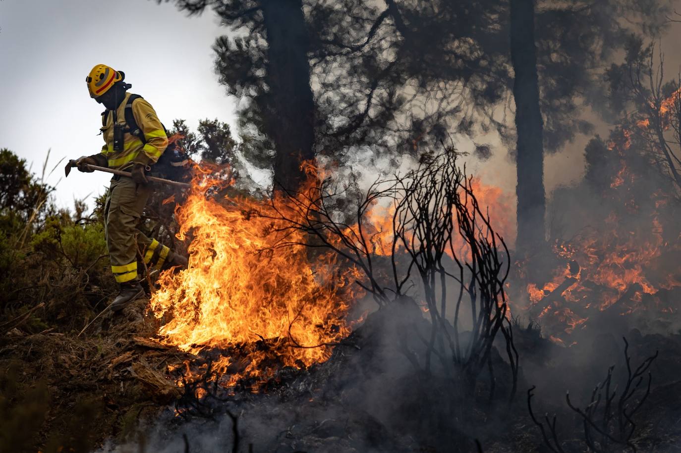 Operarios del Infoca trabajando contra el incendio.