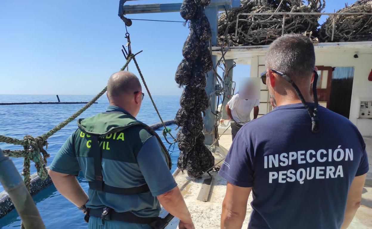Momento de la operación de la Guardia Civil. 