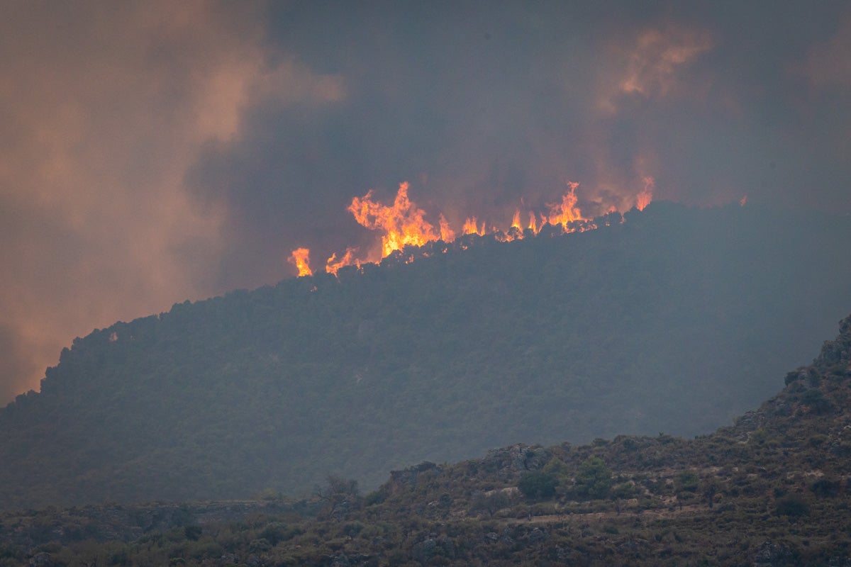 Las imágenes del mayor incendio de la provincia en lo que va de año