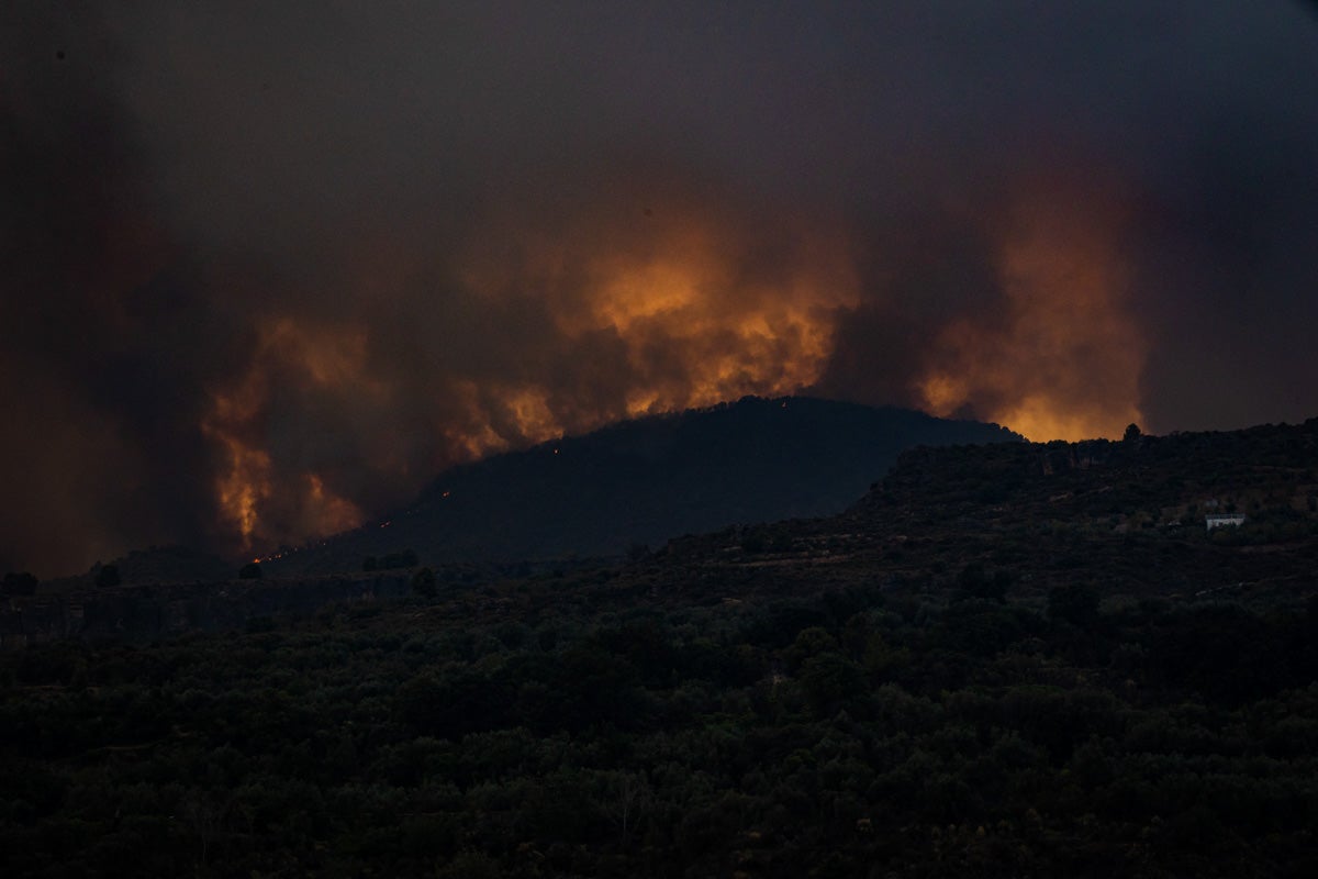 Las imágenes del mayor incendio de la provincia en lo que va de año