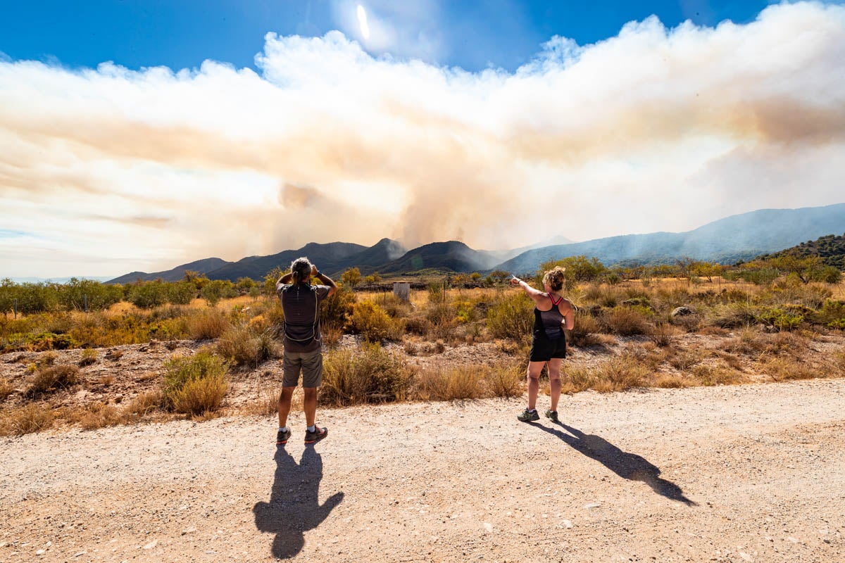 Las imágenes del mayor incendio de la provincia en lo que va de año