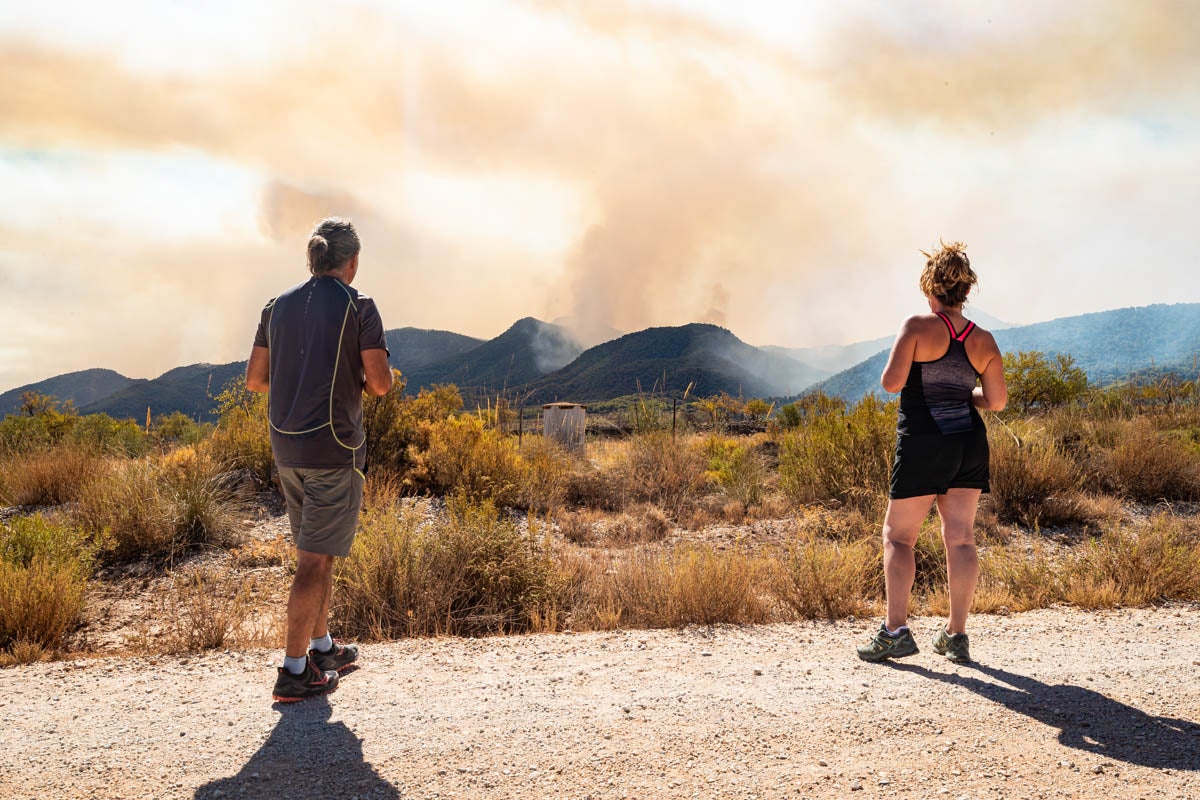 Las imágenes del mayor incendio de la provincia en lo que va de año