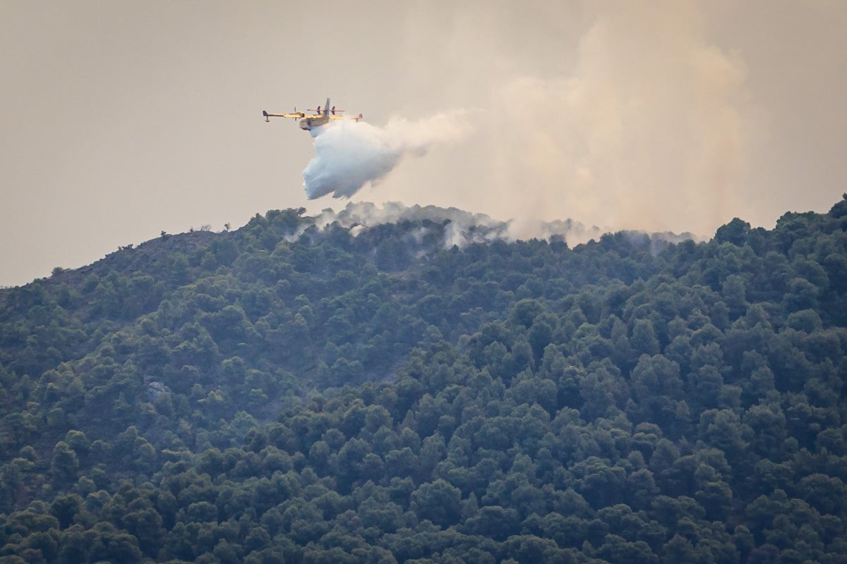 Las imágenes del mayor incendio de la provincia en lo que va de año