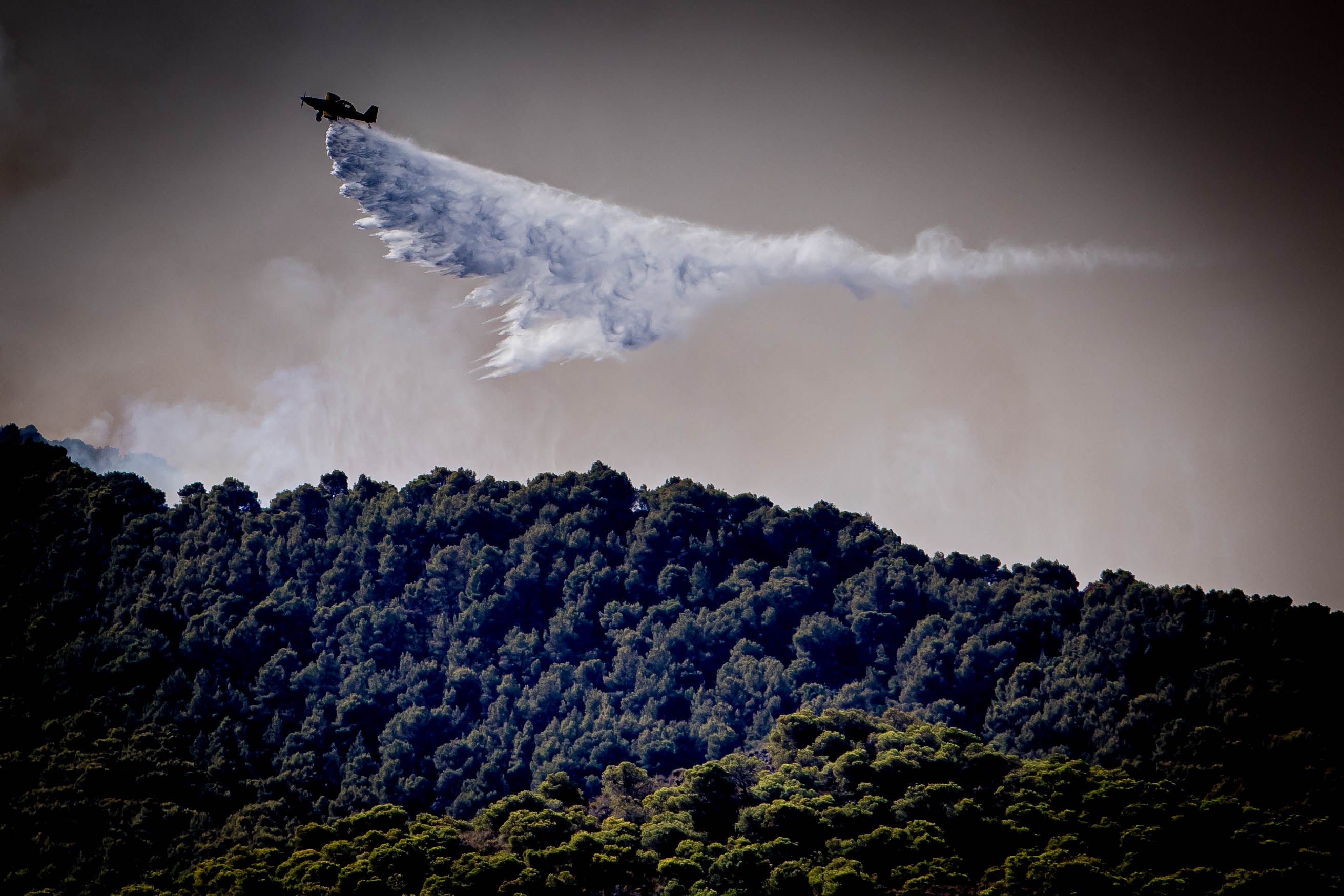 Las imágenes del mayor incendio de la provincia en lo que va de año