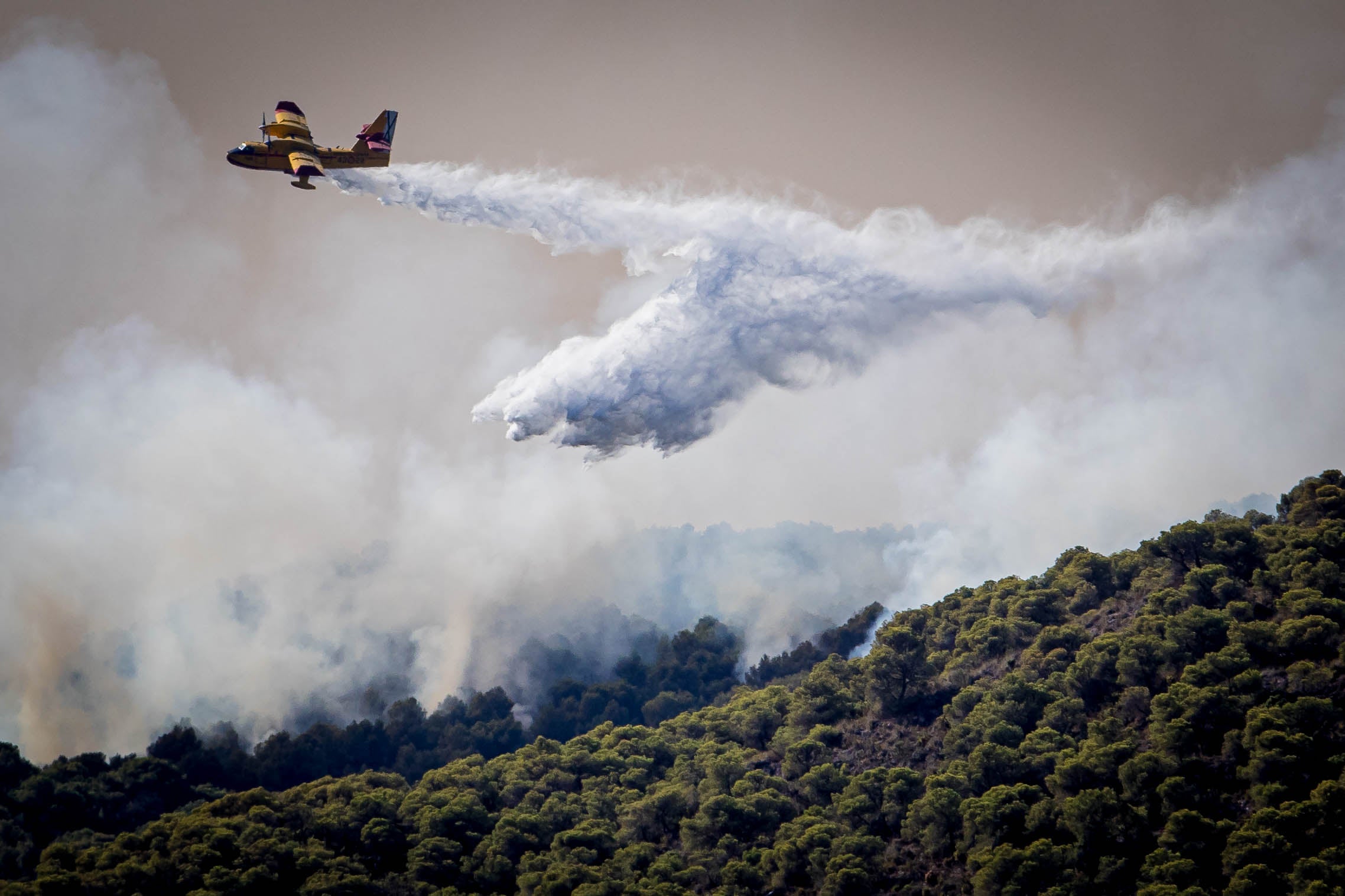 Las imágenes del mayor incendio de la provincia en lo que va de año