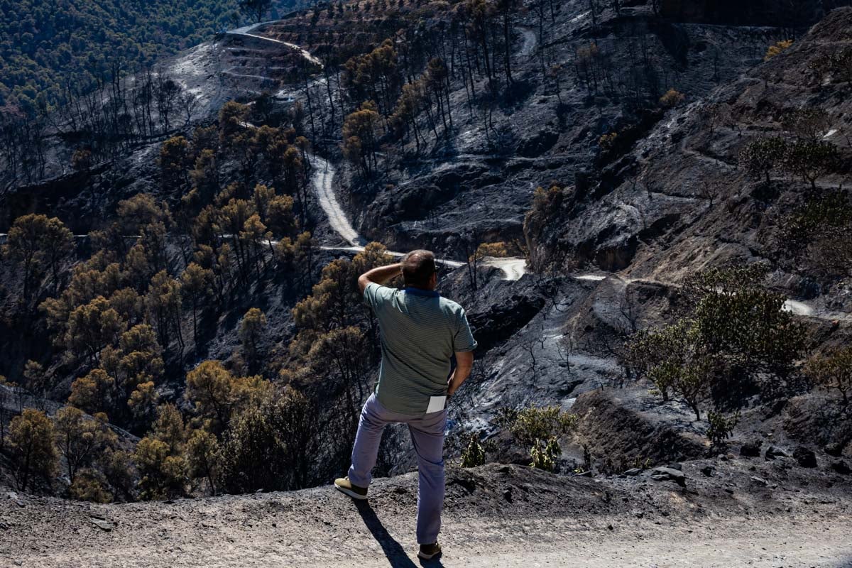 Así se encuentra la zona afectada por las llamas entre Los Guájares y Albuñuelas.
