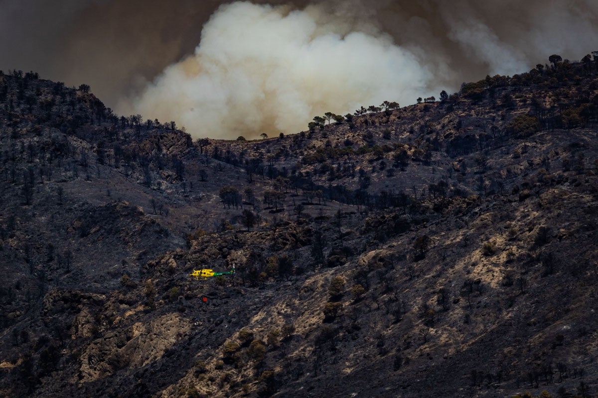 Así se encuentra la zona afectada por las llamas entre Los Guájares y Albuñuelas.