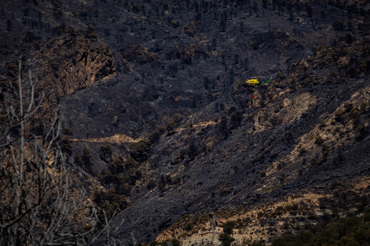 Así se encuentra la zona afectada por las llamas entre Los Guájares y Albuñuelas.