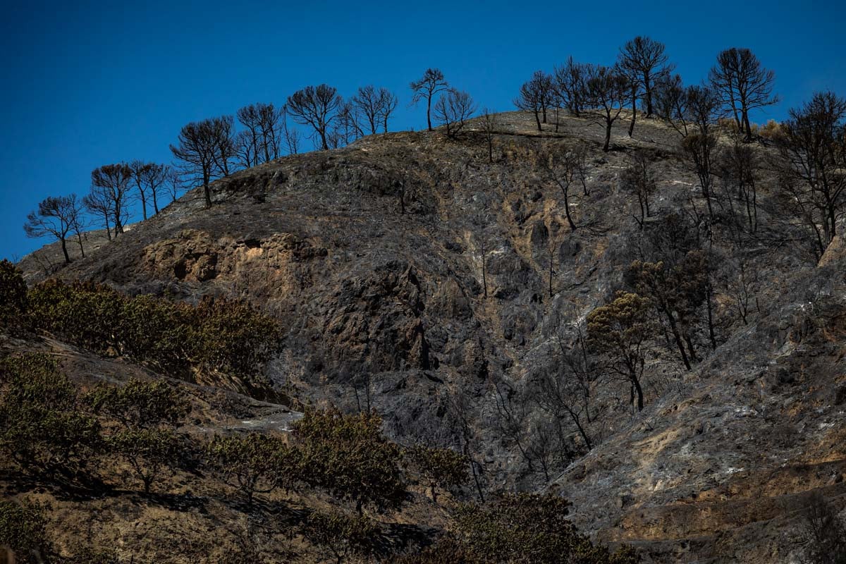 Así se encuentra la zona afectada por las llamas entre Los Guájares y Albuñuelas.