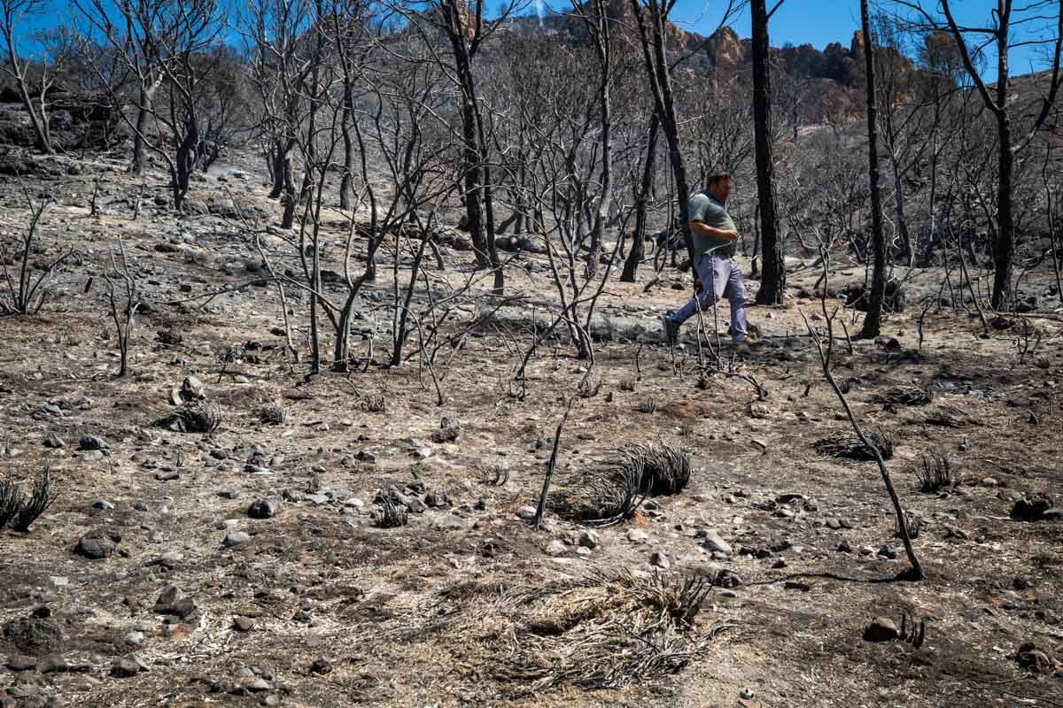 Así se encuentra la zona afectada por las llamas entre Los Guájares y Albuñuelas.
