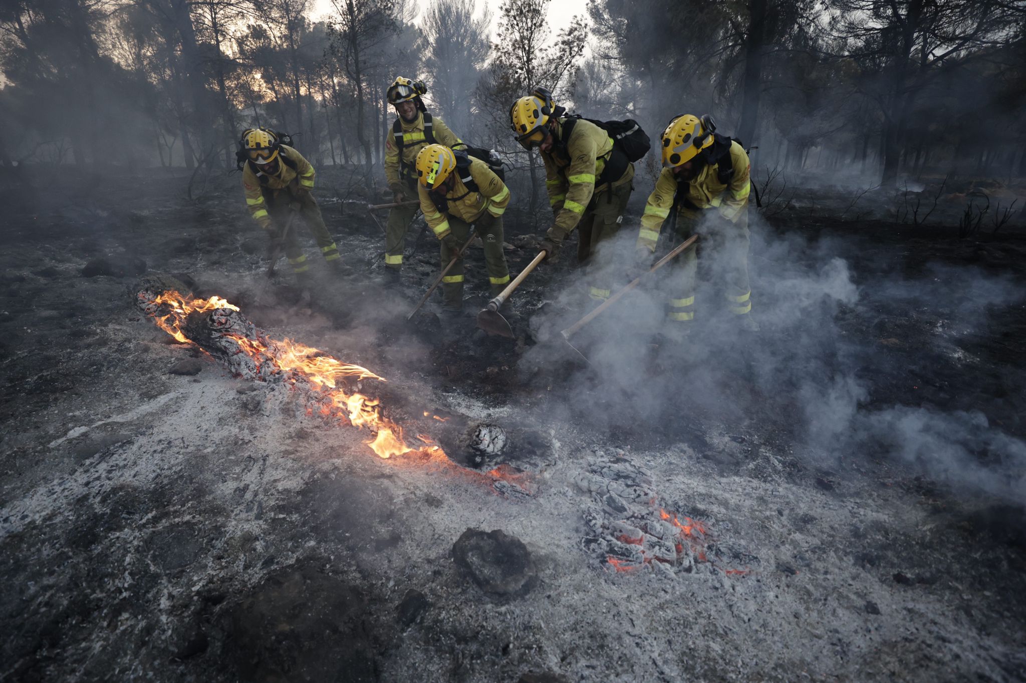 Bomberos terrestres y medios aéreos luchan contra el fuego.