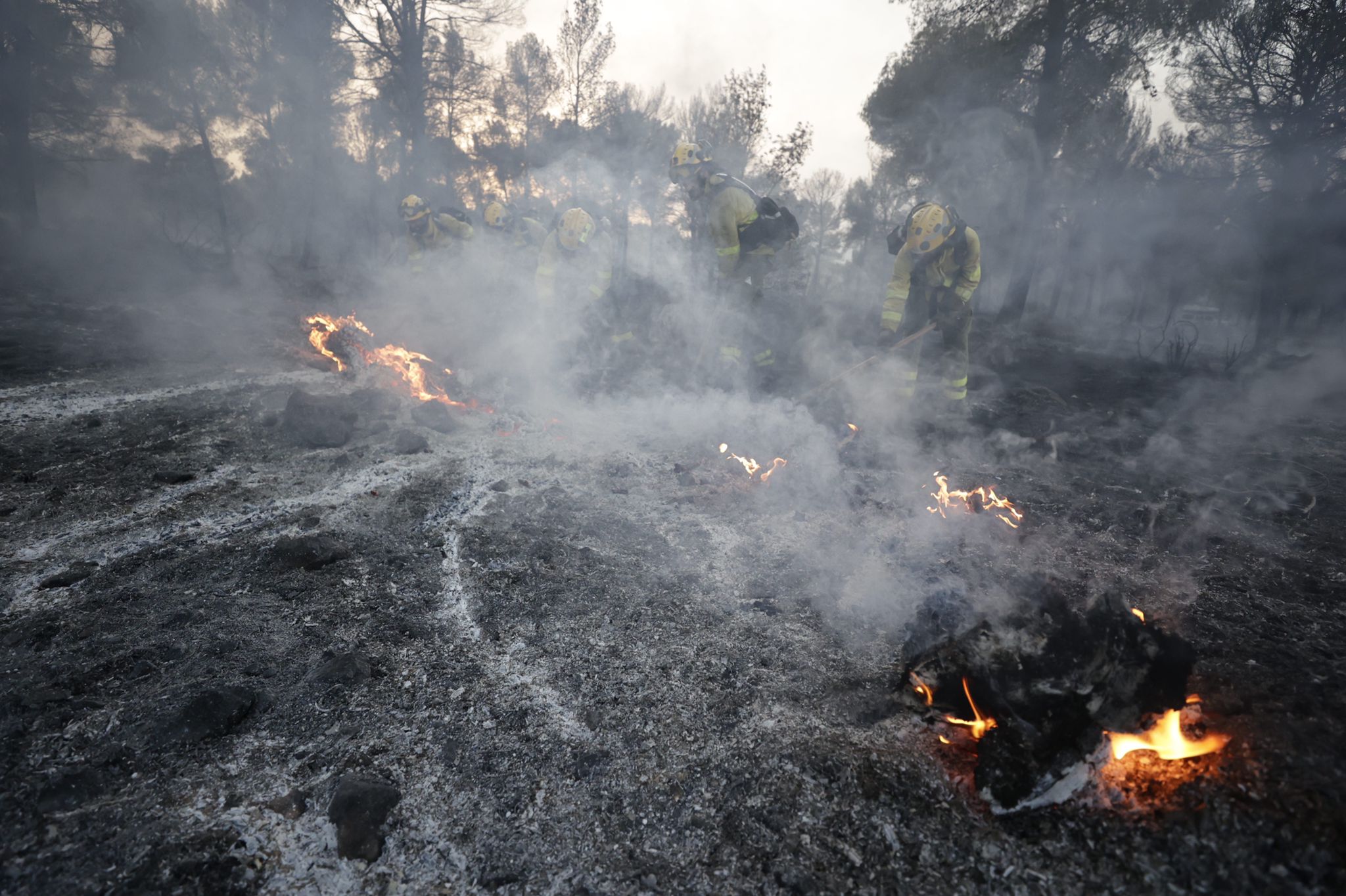 Bomberos terrestres y medios aéreos luchan contra el fuego.