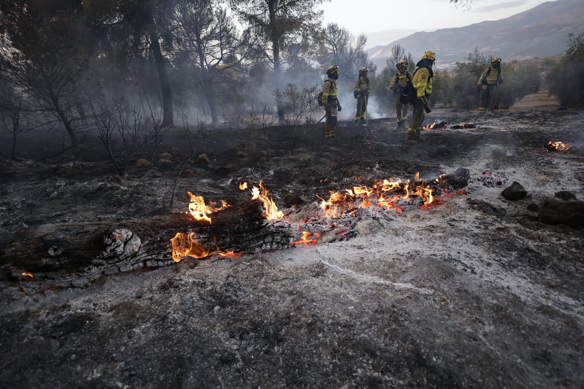 Bomberos terrestres y medios aéreos luchan contra el fuego.