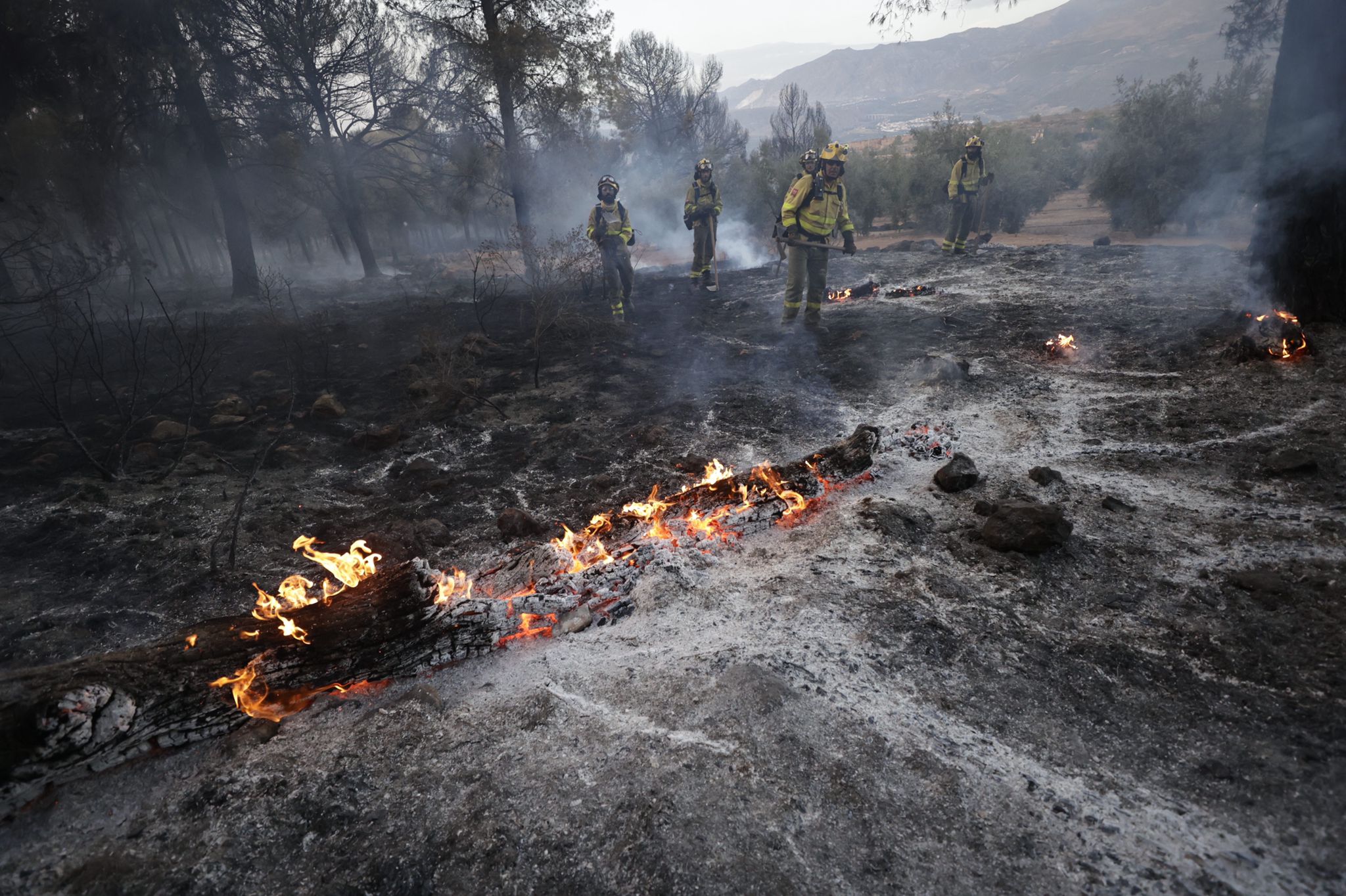 Bomberos terrestres y medios aéreos luchan contra el fuego.