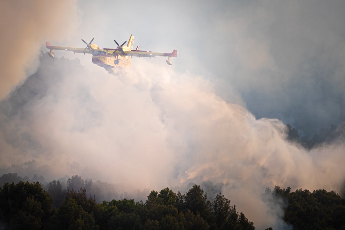 Bomberos terrestres y medios aéreos luchan contra el fuego.