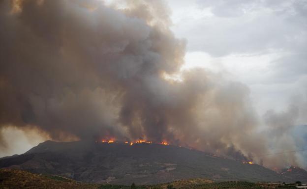 El incendio sigue activo y los medios aéreos se activan desde primera hora de este martes 