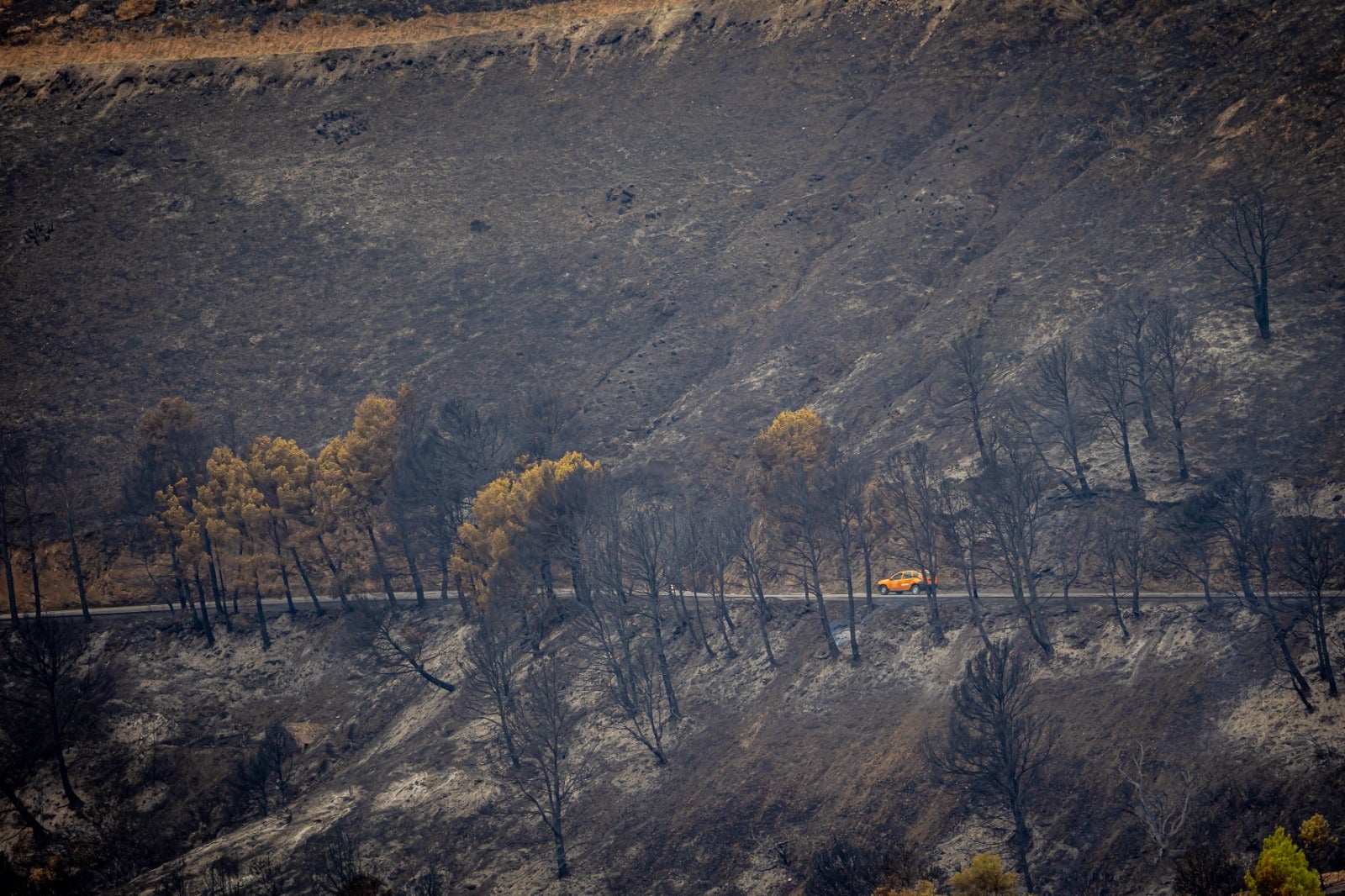 Las lluvias ayudarán para evitar que sigan avanzando las llamas