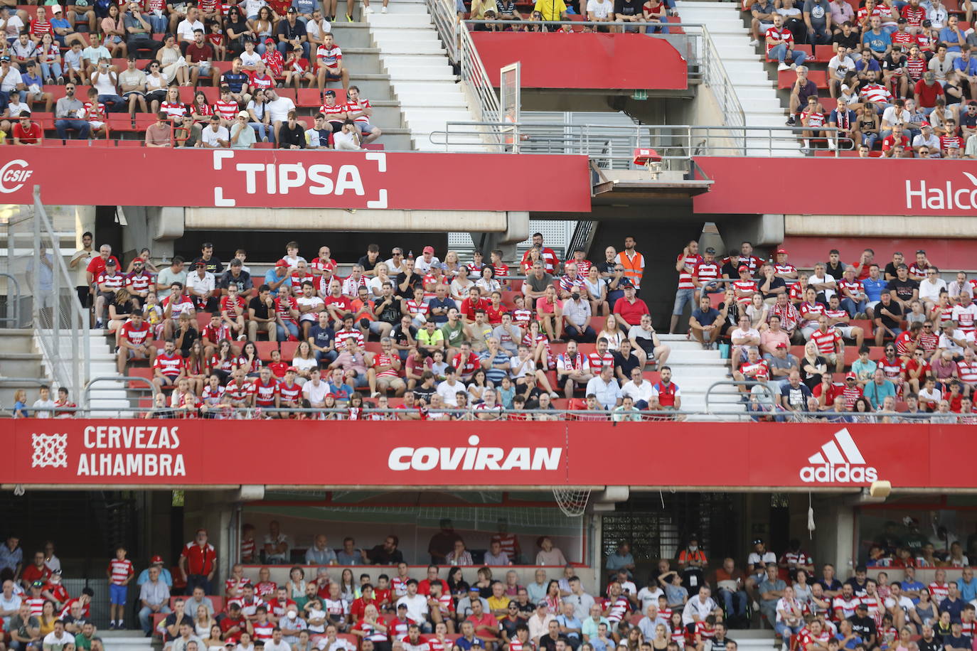 Ambiente en las gradas de Los Cármenes