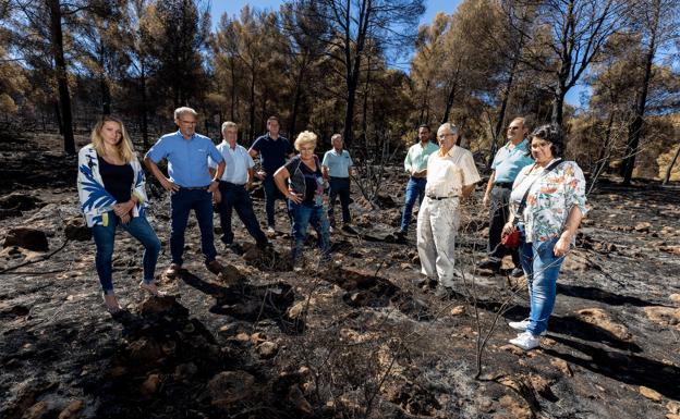 Alcaldes y concejales de los ayuntamientos de Albuñuelas, El Pinar, Los Guájares y El Valle junto a agricultores y un representante empresarial, en una zona quemada. 