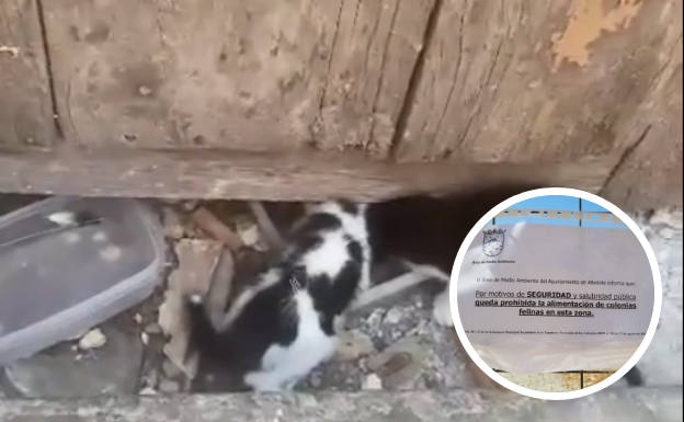 A la izquierda, una colonia de gatos en Albolote. A la derecha, el cartel.