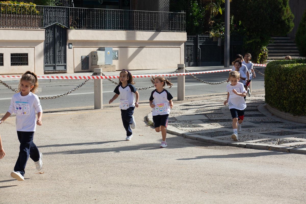 Carrera contra la leucemia en el Paseo del Salón